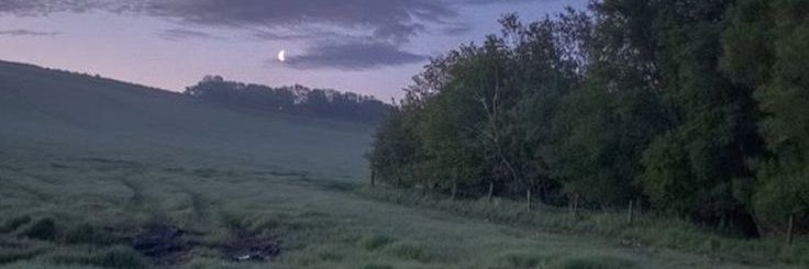 nomoreviola's profile banner image