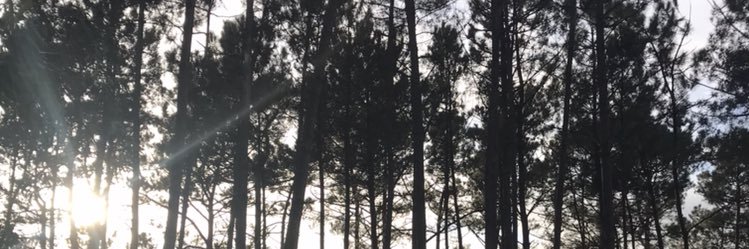 sixtol_'s profile banner image