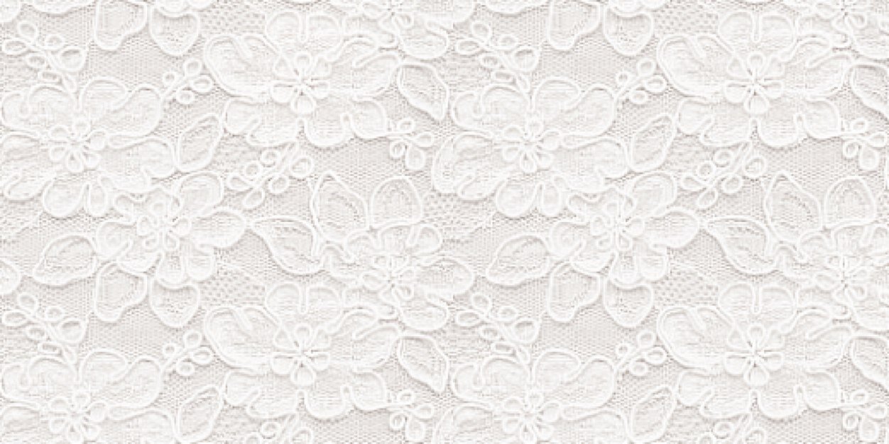 ArianasButerfly's profile banner image