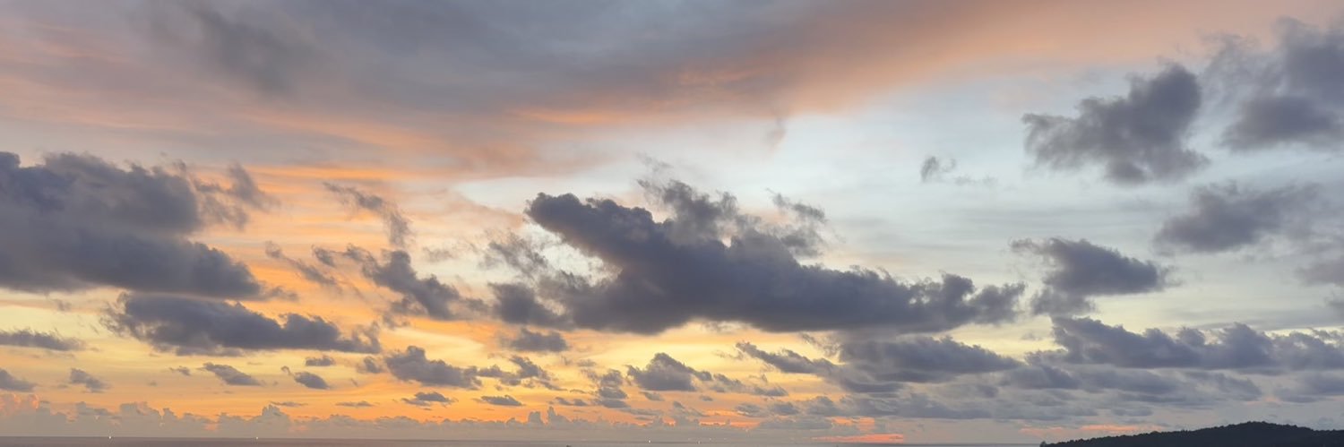 Asherwliu's profile banner image