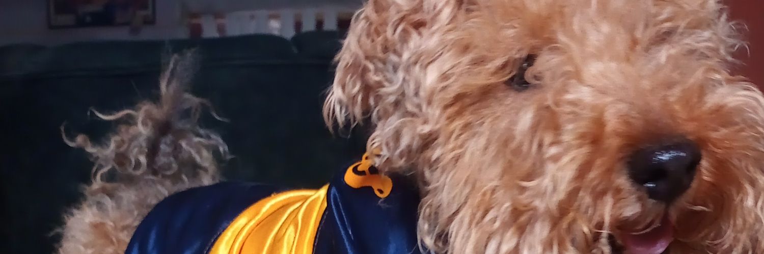 11_luzz's profile banner image