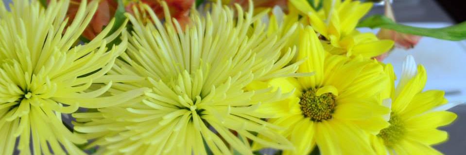 Jamie Hawkinson banner