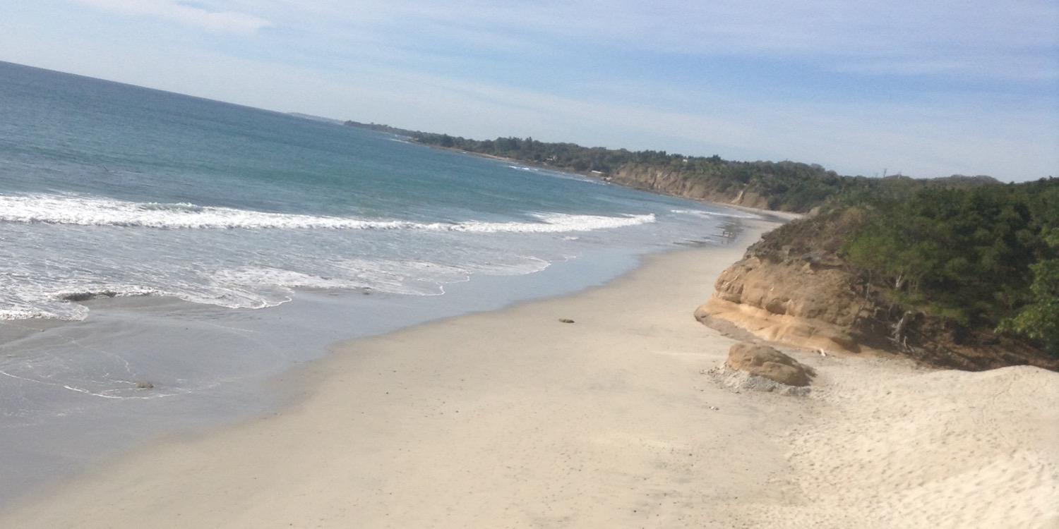 dianahugh's profile banner image