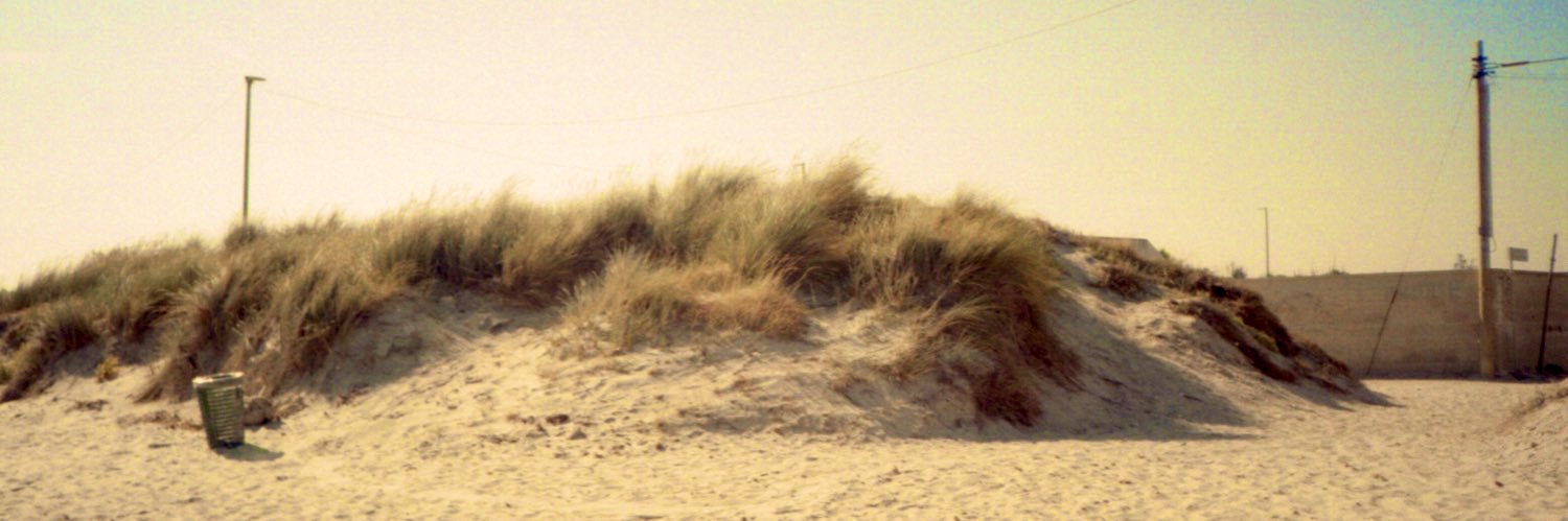alkoipa's profile banner image