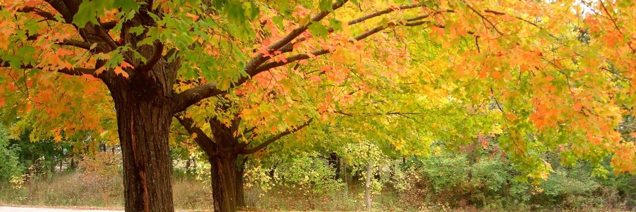 Clifton P. Terry banner