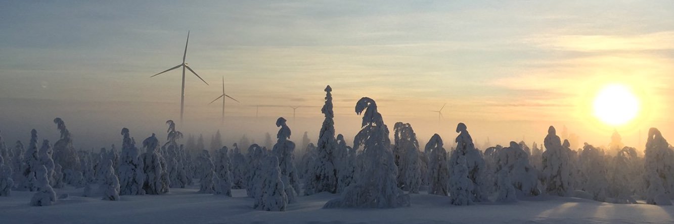 Thomas Pichot banner