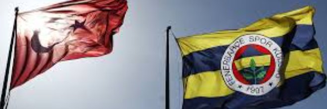 Alex'li Sanchez banner