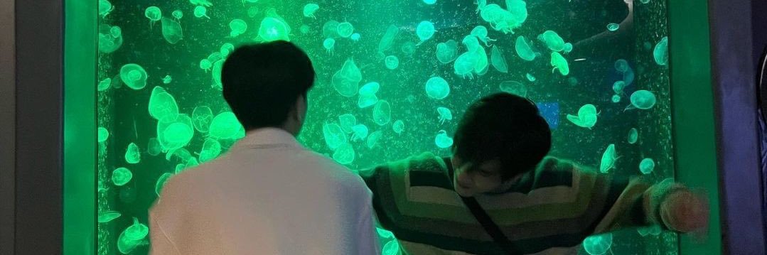 starlight ᰔᩚ⁺◟✿ banner