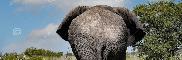 AmerAssaleh Profile Banner