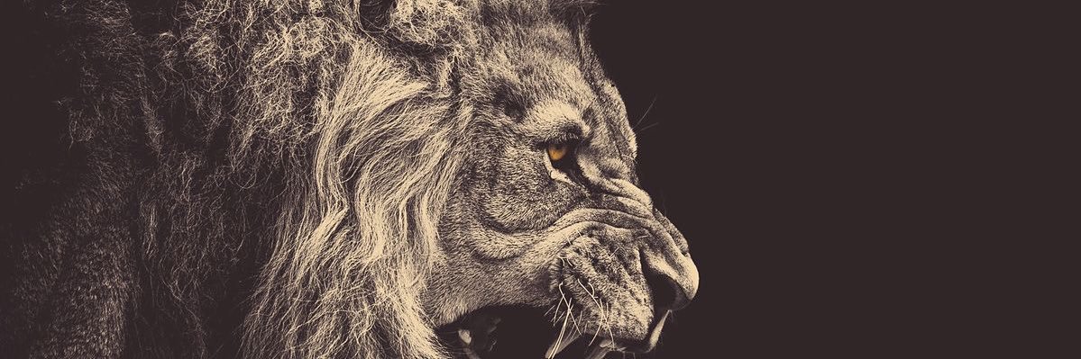 Cris199VA's profile banner image