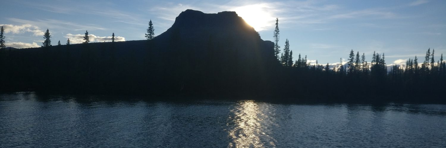 Maarten van Beek banner