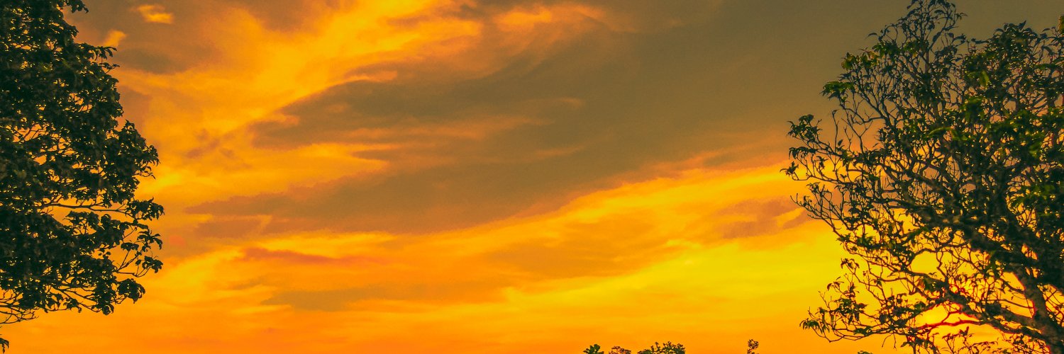 DeepDuttaBora9's profile banner image