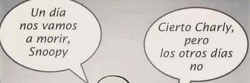 MartaBower's profile banner image