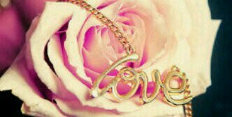 cherie1612's profile banner image