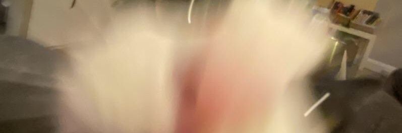grzesxoxo's profile banner image