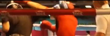daichi banner