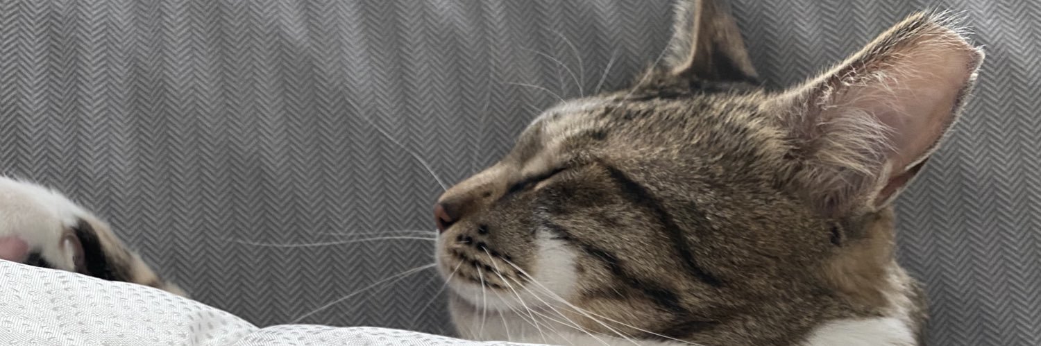 오뜨 banner