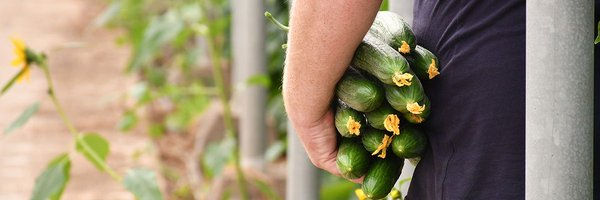 Khalatea Profile Banner