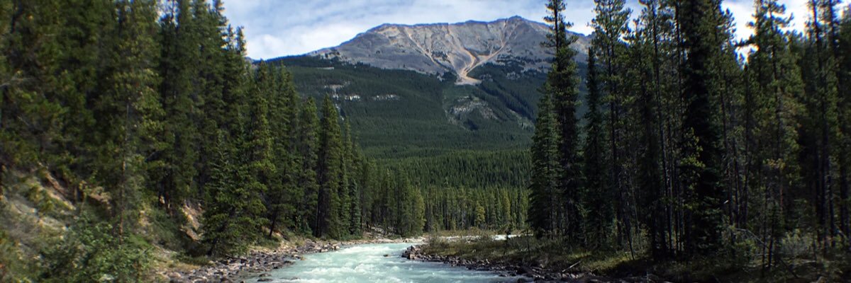 jimcook_'s profile banner image