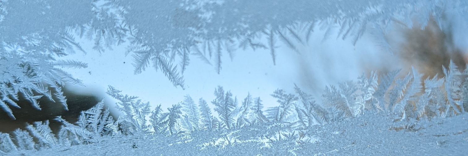 CirraCat's profile banner image