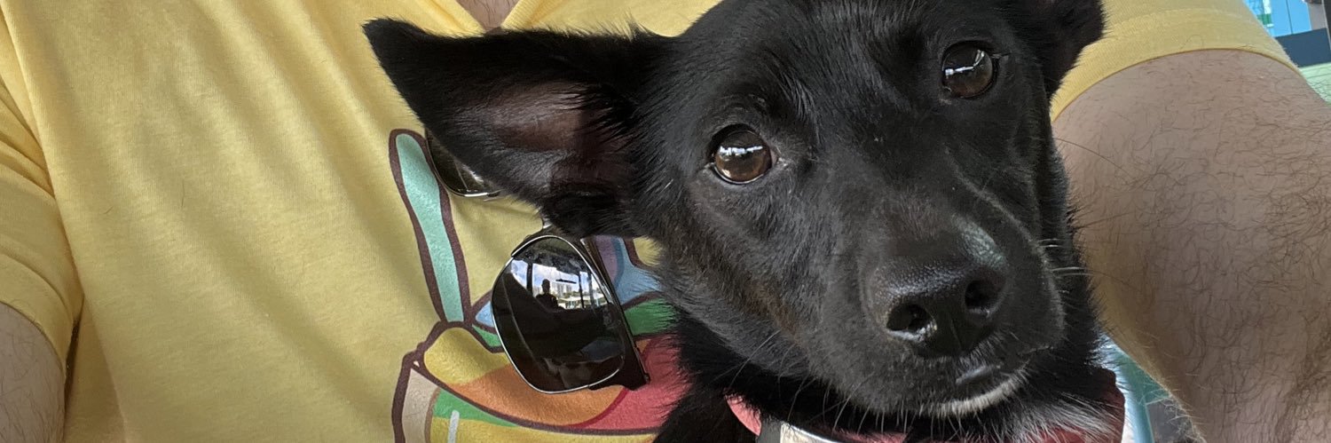 nomnomboris's profile banner image