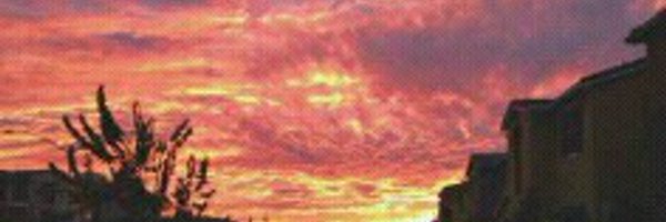 tykadrmn Profile Banner