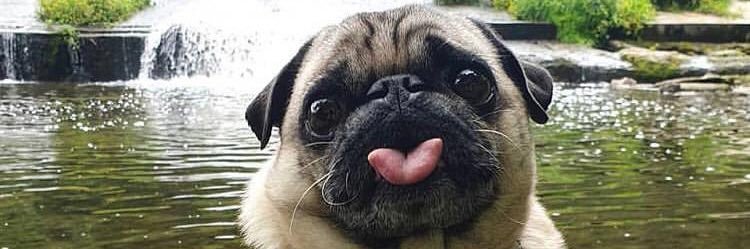 AmandaUchoaa1's profile banner image