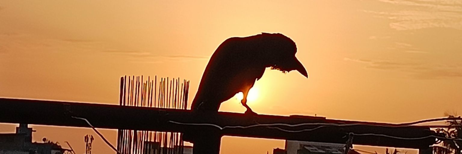 anndydell's profile banner image