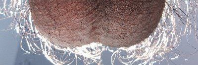 nigewoodside's profile banner image
