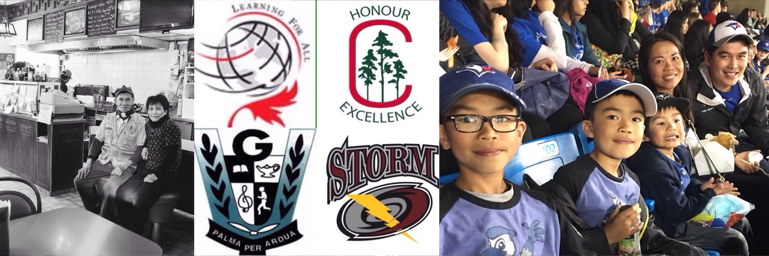 Phuong Loi Lam banner