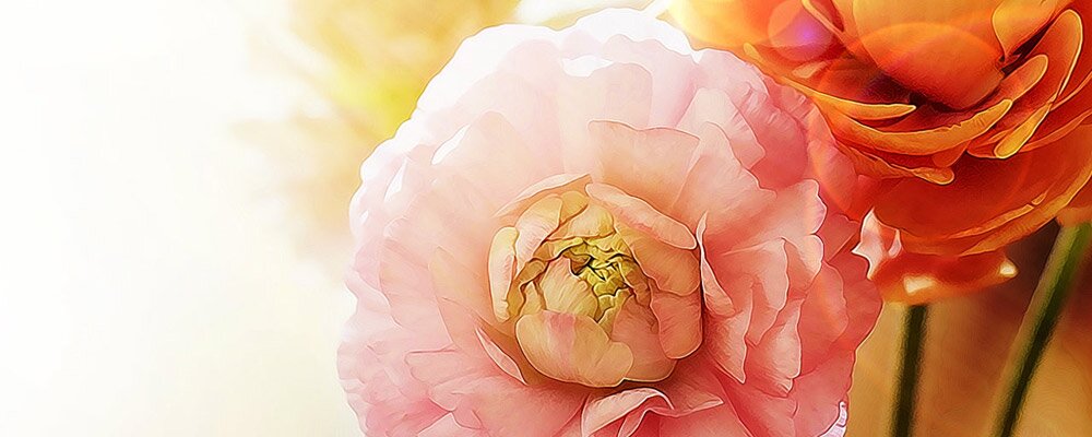 FirstNightKiss's profile banner image