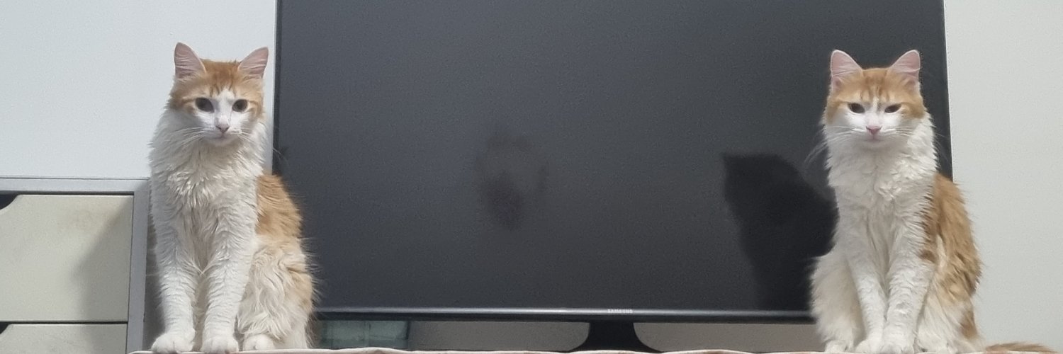 Leonel Manuel Scheffer banner