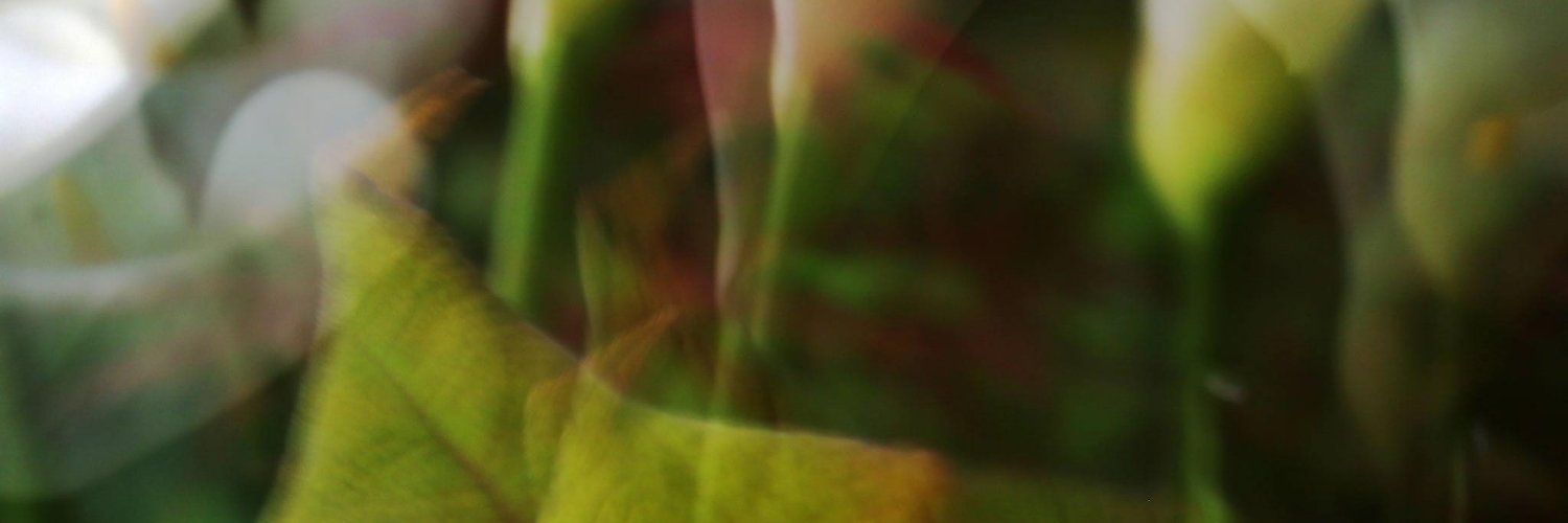 DelmaGodoy's profile banner image