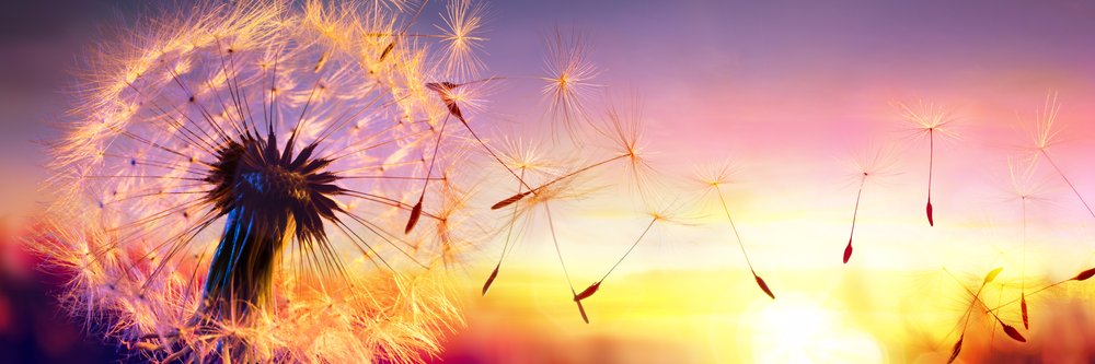 well_mindbody's profile banner image
