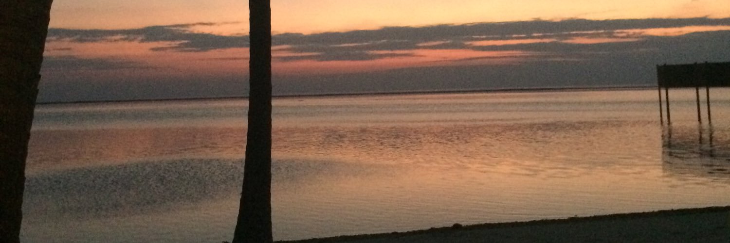 a_marinova's profile banner image