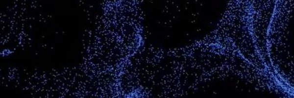 cred_protocol Profile Banner