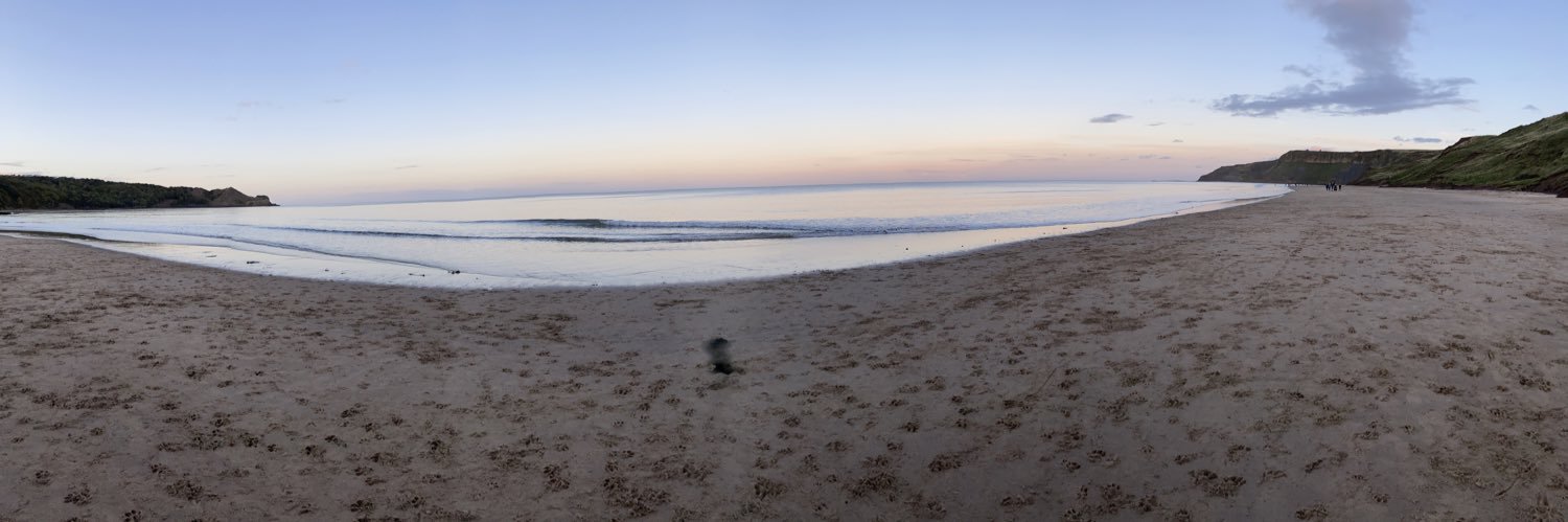 Miss Nicholson banner