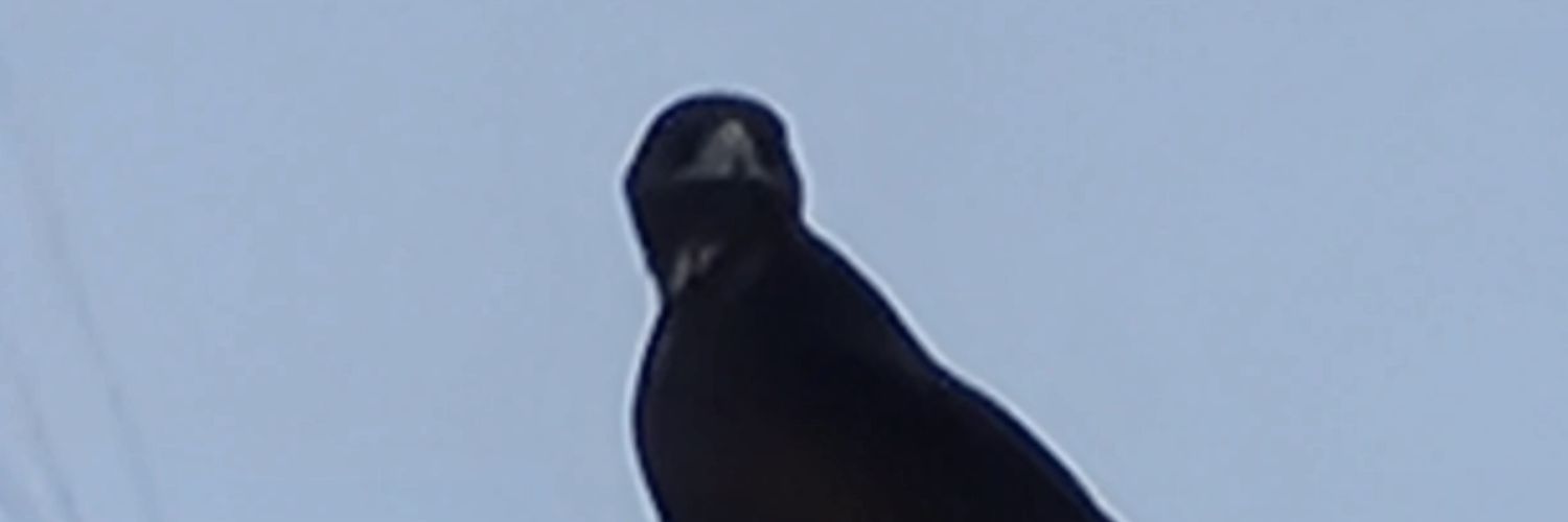 robertvnzla's profile banner image