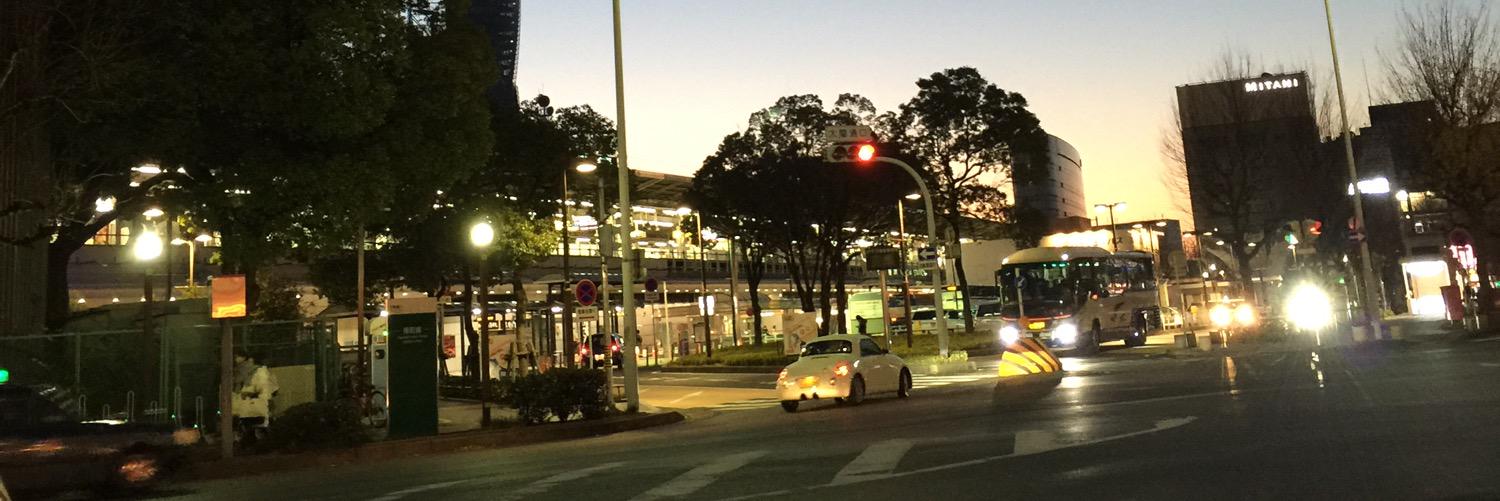 とりさん@29🌊,30🏰 banner