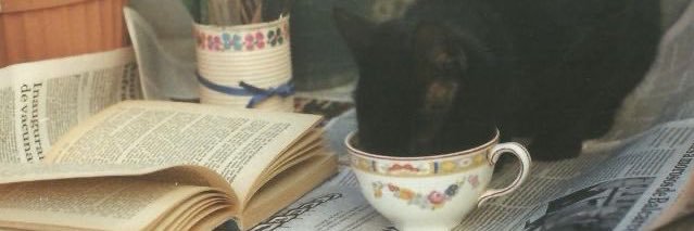 GMadison27's profile banner image