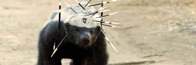 santiago hasar ebu selman 🇹🇷 🇵🇸 banner