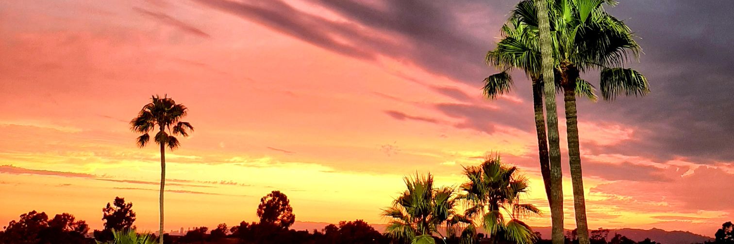 Marcelo Eselente banner