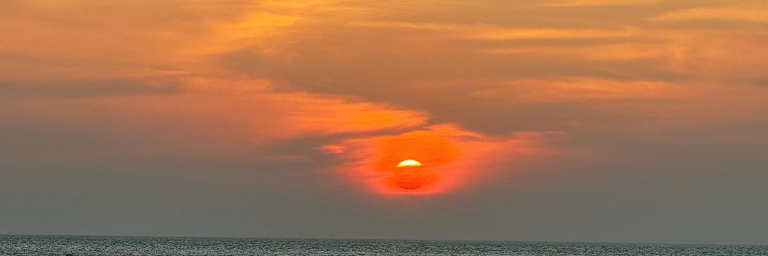 liz_patten's profile banner image