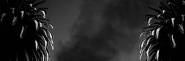 ctrl_node Profile Banner