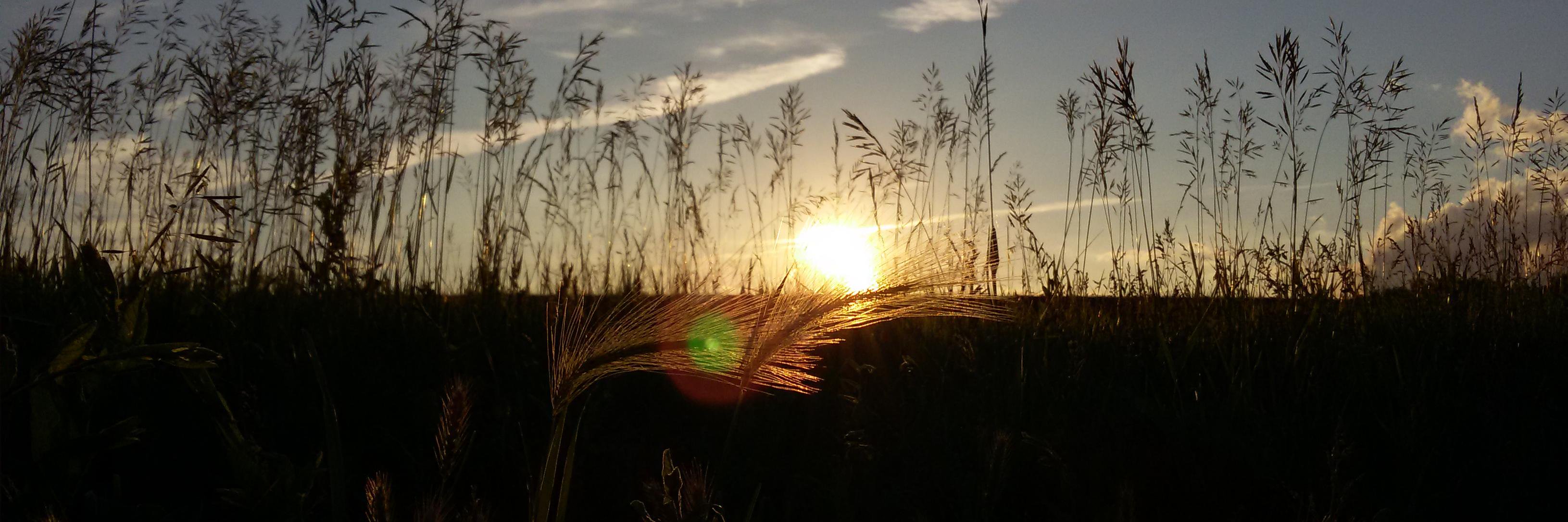 Gui Baigorria banner