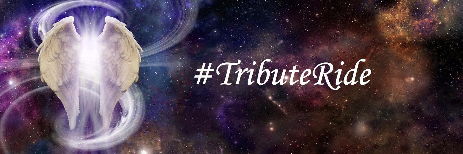 Otis, Willa, and Mom banner