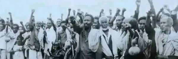 neo_tigray Profile Banner