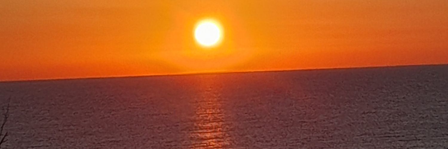 pinarpekbas's profile banner image