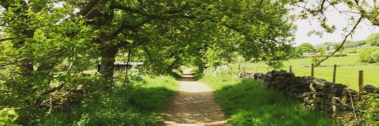 Aran Wilkinson banner