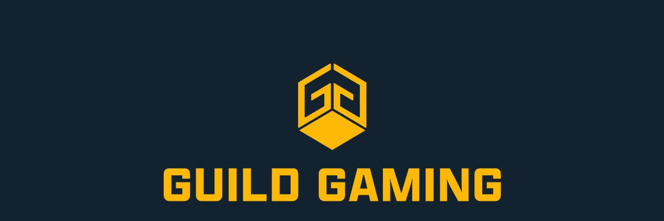Guild Gaming banner